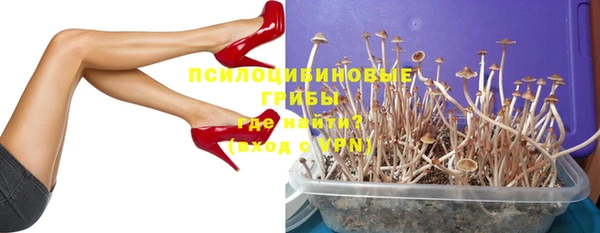 PSILOCYBIN Алексеевка