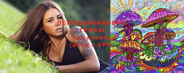 гидропоника Арсеньев