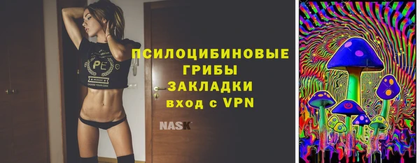 PSILOCYBIN Алексеевка