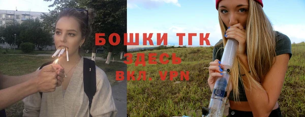 PSILOCYBIN Алексеевка