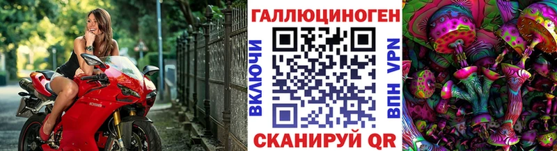 OMG ссылки  что такое наркотик  Закаменск  Псилоцибиновые грибы Magic Shrooms 